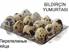 Bildirçin yumurtası Баку