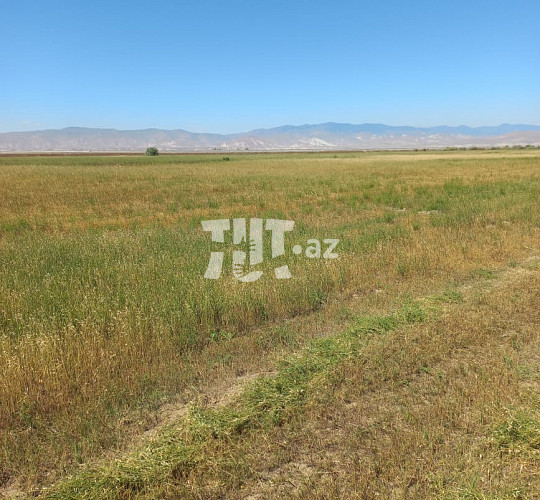 3 hektar torpaq sahəsi , Şurabad qəs., 32 000 AZN, Xızı- da Torpaq alqı-satqısı və kirayəsi