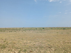 200 hektar torpaq sahəsi , Kürdəmir r. Kürdəmir
