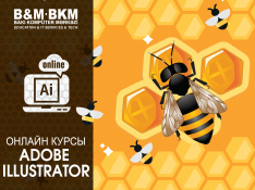 Курсы Adobe Illustrator Bakı