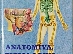 Anatomiy,Fiziologiya,Patologiya kitabının PDF forması Bakı