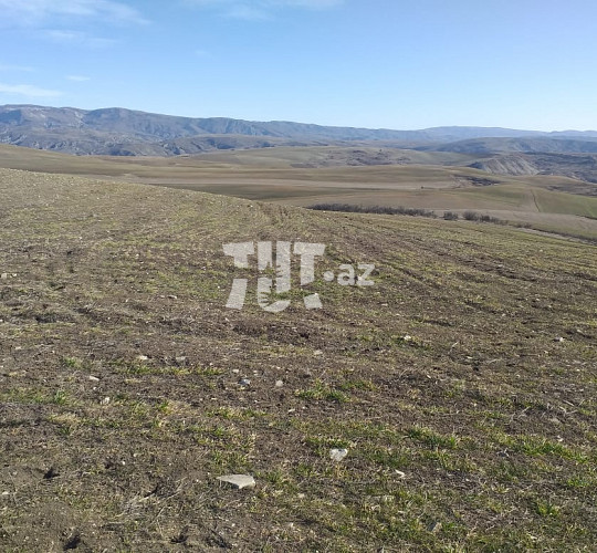 100 hektar torpaq sahəsi , Ağsu r., 800 000 AZN, Ağsu- da Torpaq alqı-satqısı və kirayəsi