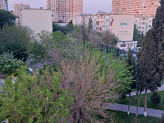 2-otaqlı mənzil icarəyə verilir, Moskva pr., 50 m² Баку