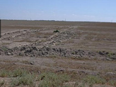 1000 hektar torpaq sahəsi , Salyan r. Səlyan