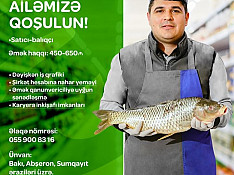 Satıcı balıqçı tələb olunur Баку