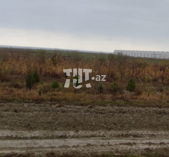90 hektar torpaq sahəsi , Xızı r., 300 000 AZN, Xızı- da Torpaq alqı-satqısı və kirayəsi