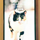 Samsung Galaxy A13, 300 AZN, Samsung telefonların satışı elanları
