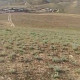 500 hektar torpaq sahəsi , Qobustan r., 60 000 AZN, Qobustan- da Torpaq alqı-satqısı və kirayəsi