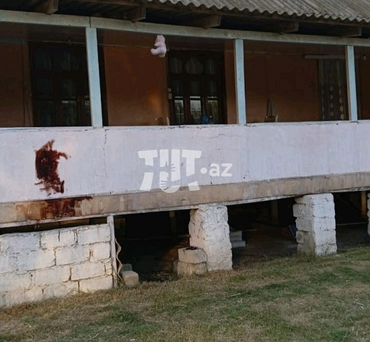 Bağ evi , Zərdab r., 45 000 AZN Endirim mümkündür, Zərdab-da bağ evlərin alqı satqısı və kirayəsi