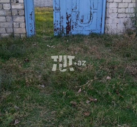 Bağ evi , Zərdab r., 45 000 AZN Торг возможен, Зардаб, Покупка, Продажа, Аренда Дачи Зардаб, Азербайджане