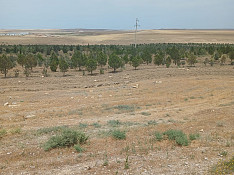 1.5 hektar torpaq sahəsi , Abşeron r. Bakı