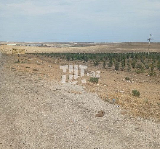 1.5 hektar torpaq sahəsi , Abşeron r., 230 000 AZN Endirim mümkündür, Bakı- da Torpaq alqı-satqısı və kirayəsi