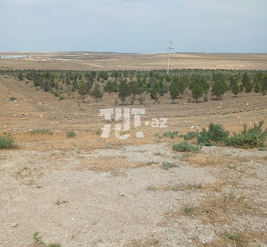 1.5 hektar torpaq sahəsi , Abşeron r., 230 000 AZN Endirim mümkündür, Bakı- da Torpaq alqı-satqısı və kirayəsi