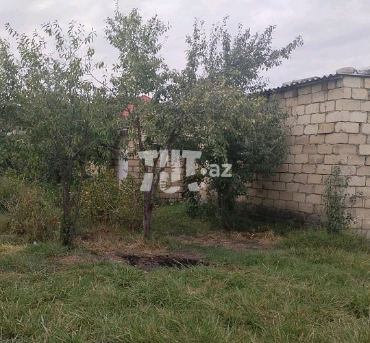 Bağ evi , Xaçmaz r., 48 500 AZN Endirim mümkündür, Xaçmaz-da bağ evlərin alqı satqısı və kirayəsi