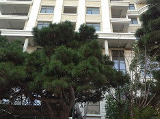 3-otaqlı mənzil , Təbriz küç., 143 m² Баку