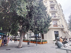 3-otaqlı mənzil icarəyə verilir, Səbail r., 90 m² Баку