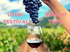 Üzüm Festivalı Şamaxı Bakı
