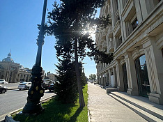 3-otaqlı mənzil icarəyə verilir, Heydər Əliyev pr., 130 m² Баку