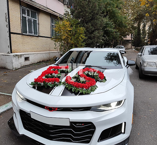 Camaro toy avtomobili sifarişi, 180 AZN, Аренда авто в Баку