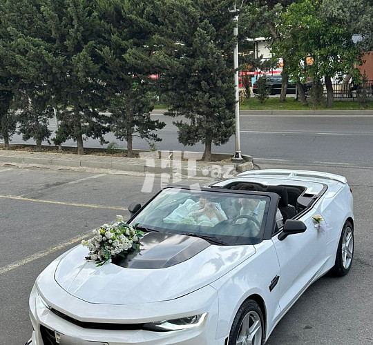 Camaro toy avtomobili sifarişi, 180 AZN, Аренда авто в Баку