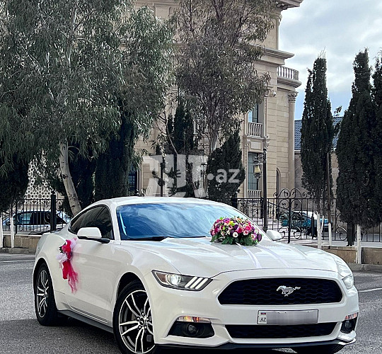 Mustang toy avtomobili icarəsi, 180 AZN, Аренда авто в Баку