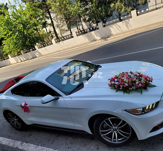 Mustang toy avtomobili icarəsi, 180 AZN, Аренда авто в Баку