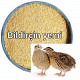 Proteinli yem 1.20 AZN Tut.az Бесплатные Объявления в Баку, Азербайджане