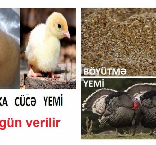 Proteinli yem 1.20 AZN Tut.az Бесплатные Объявления в Баку, Азербайджане