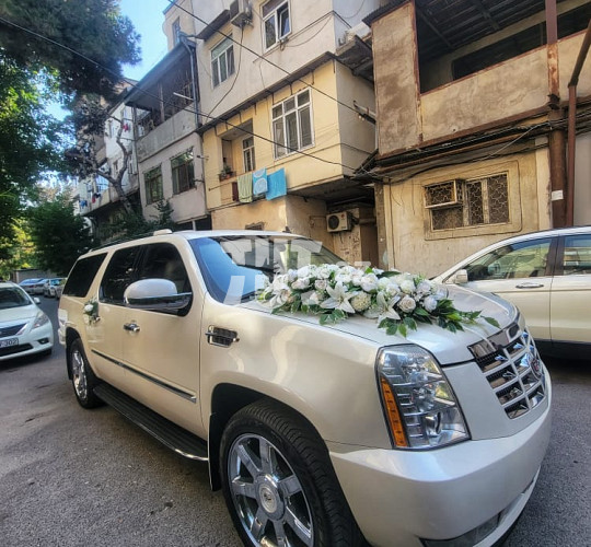 Cadillac Escalade toy avtomobili icarəsi, 180 AZN, Аренда авто в Баку
