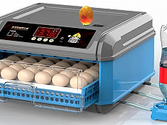 48 yumurtalıq tam avtomat inkubator Bakı