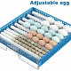 48 yumurtalıq tam avtomat inkubator 200 AZN Tut.az Pulsuz Elanlar Saytı - Əmlak, Avto, İş, Geyim, Mebel