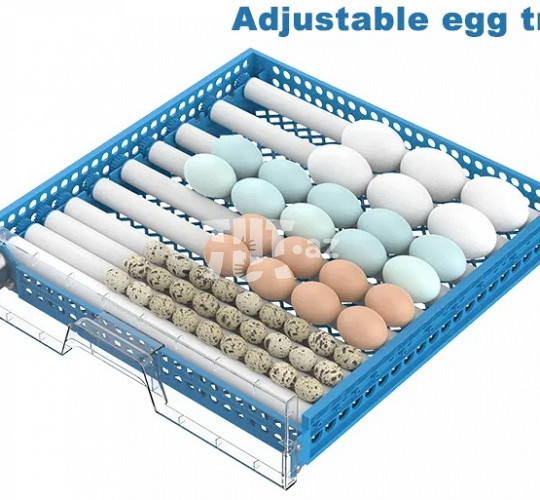 48 yumurtalıq tam avtomat inkubator 150 AZN Tut.az Pulsuz Elanlar Saytı - Əmlak, Avto, İş, Geyim, Mebel