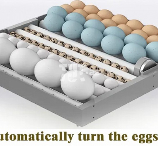 64 yumurtalı tam avtomatik inkubator 220 AZN Tut.az Pulsuz Elanlar Saytı - Əmlak, Avto, İş, Geyim, Mebel