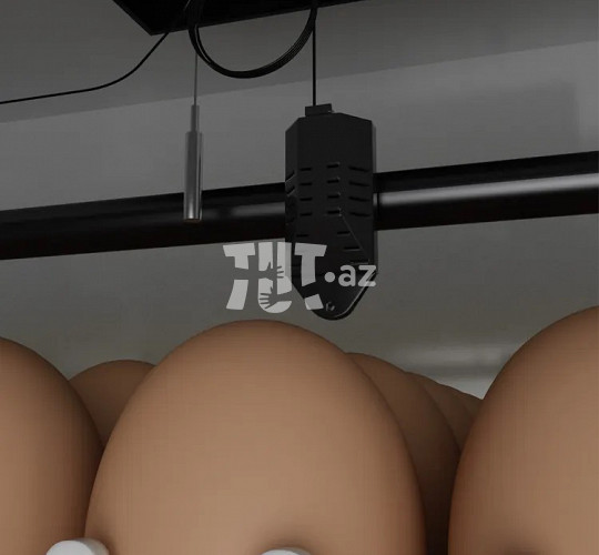 2112 yumurtalıq tam avtomat inkubator 1 900 AZN Tut.az Pulsuz Elanlar Saytı - Əmlak, Avto, İş, Geyim, Mebel