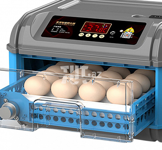 16 yumurtalıq avtomat inkubator 120 AZN Tut.az Pulsuz Elanlar Saytı - Əmlak, Avto, İş, Geyim, Mebel