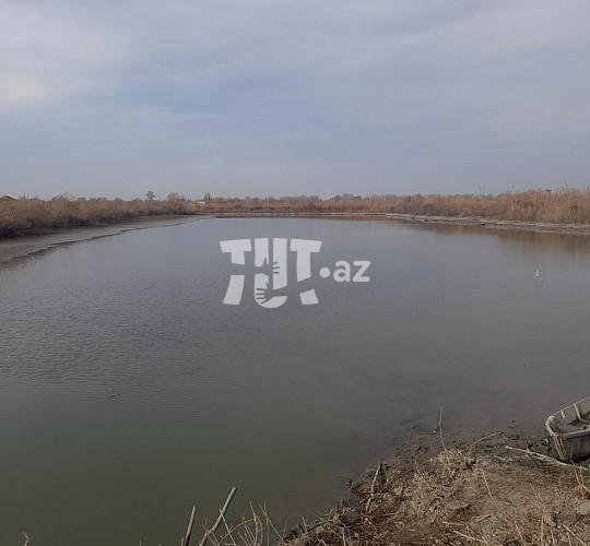 8 hektar torpaq sahəsi , Sabirabad r., 120 000 AZN Endirim mümkündür, Sabirabad- da Torpaq alqı-satqısı və kirayəsi