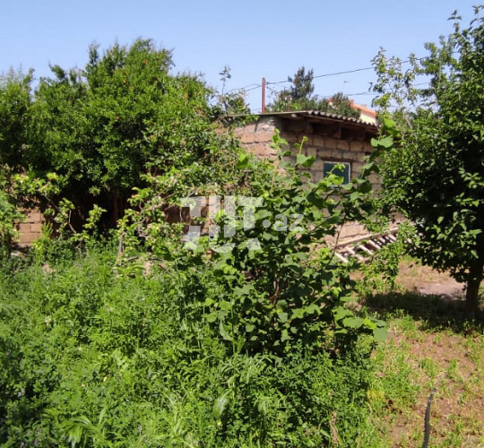Bağ evi , Goradil qəs., 155 000 AZN Endirim mümkündür, Bakı-da bağ evlərin alqı satqısı və kirayəsi