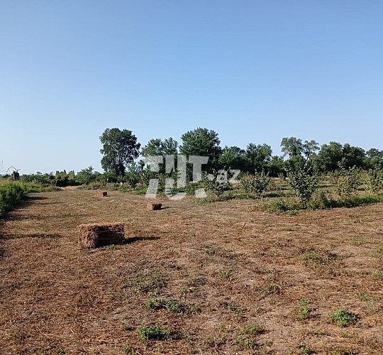 3.51 hektar torpaq sahəsi , Xaçmaz r., 55 000 AZN, Xaçmaz- da Torpaq alqı-satqısı və kirayəsi