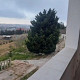 Bağ evi , Fatmayı qəs., 300 000 AZN Endirim mümkündür, Bakı-da bağ evlərin alqı satqısı və kirayəsi