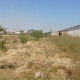 33 hektar torpaq sahəsi , Məmmədli qəs., 3 500 AZN, Баку, Покупка-Продажа Земельных Участков в Баку, Азербайджане
