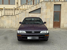 Toyota Corolla, 1996 il Bakı