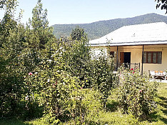 Həyət evi günlük icarəyə verilir, Qaxbaş kənd Qax