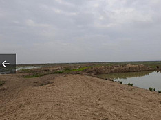 195 hektar torpaq sahəsi , Qaravəlli kəndi Neftçala