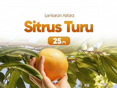 Lənkəran - Astara sitrus turu Lənkəran