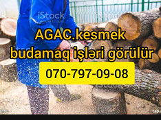 Ağac kəsmək, budamaq işləri görülür Bakı