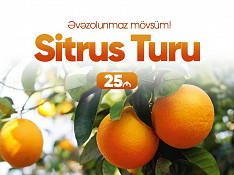 Lənkəran Astara Sitrus turu Lənkəran