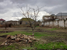 15 sot torpaq sahəsi , Buzovna qəs. Bakı