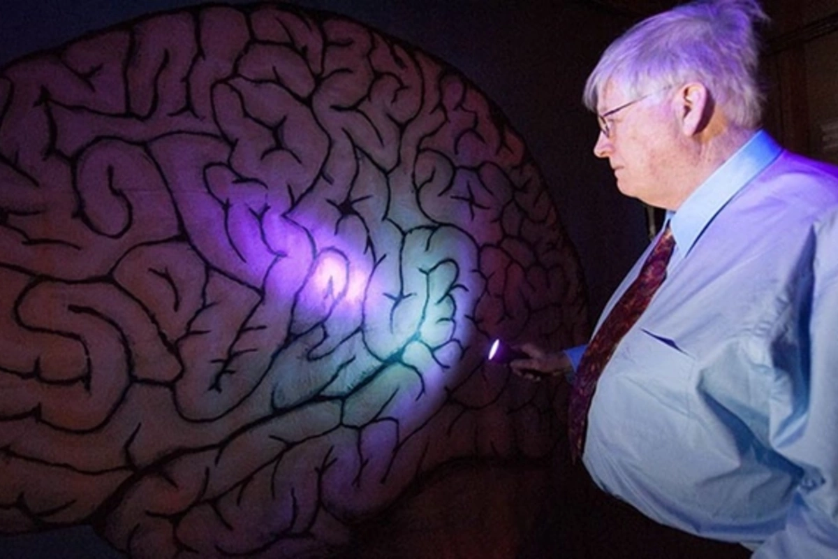What happens to the brain after death: shocking facts you didnt know