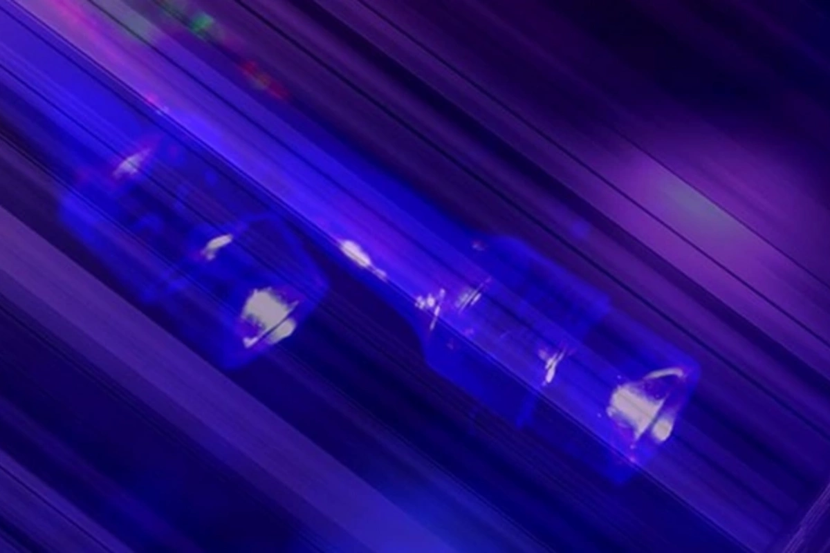 Как победить стресс от шума: неожиданный метод удивил учёных