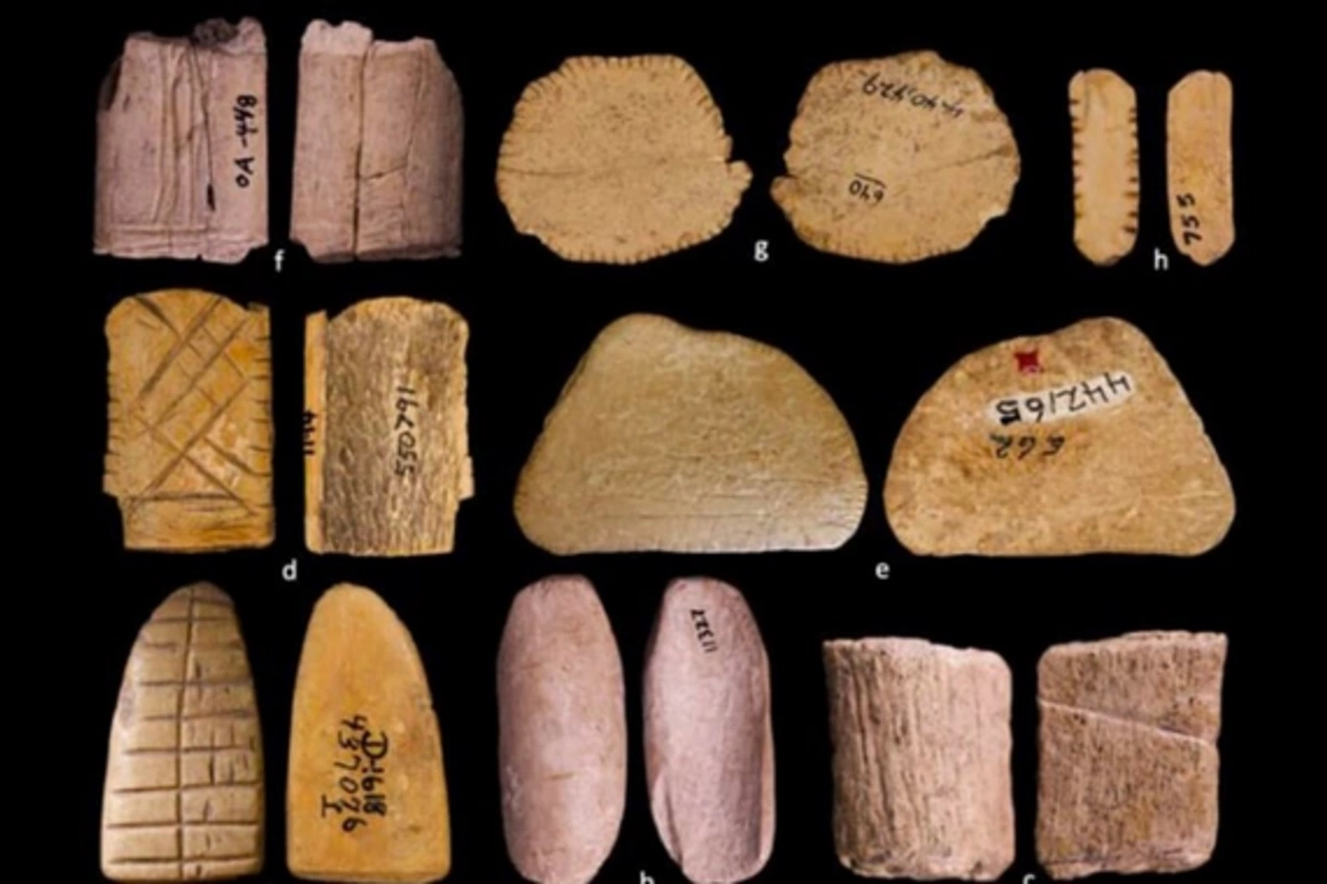 Scientists have overturned the understanding of the history of gambling